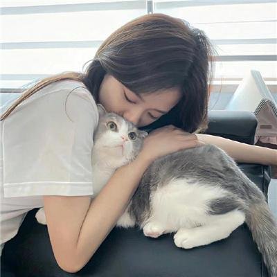 速度与激情